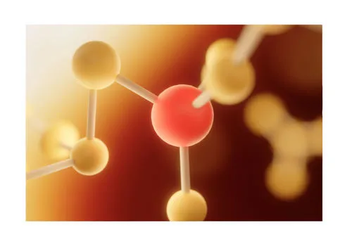 L-Carnitina