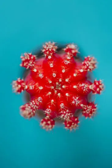 HPV: Cos’è, sintomi, cura e trattamento con Ossigenoterapia