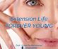 Extension Life - Forever Young