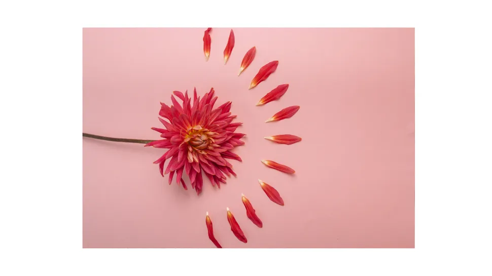 Terapia Ormoni Bioidentici